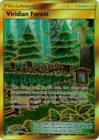 Viridian Forest - 256/236 - Secret Rare - Español