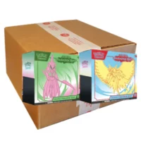 Case Sellado Elite Trainer Box Paradox Rift - Español (10 ETB)