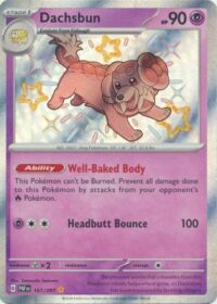 Dachsbun - 161/091 - Shiny Rare - Inglés