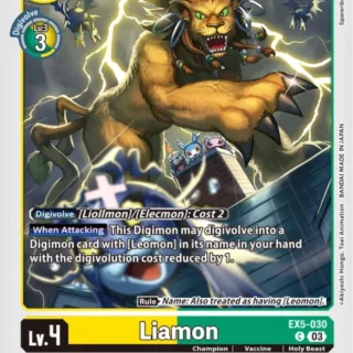 Liamon - EX5-030 C