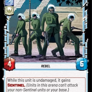 Vigilant Honor Guards - 048/252 - Common - inglés