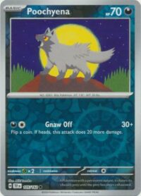 Poochyena - 105/162 - Common Reverse Holo - Inglés