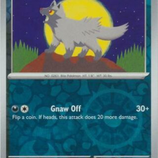 Poochyena - 105/162 - Common Reverse Holo - Inglés