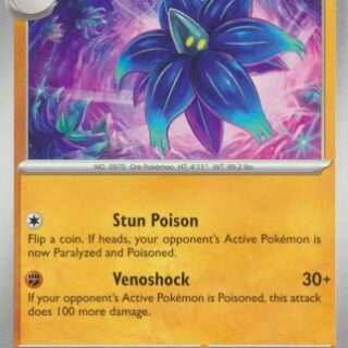 Hawlucha - 107/167 - Common - Inglés