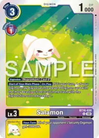 Salamon - BT16-030 R