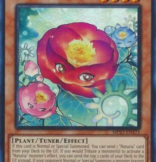 Naturia Camellia - MP23-EN171 - Super Rare 1st Edition - Español
