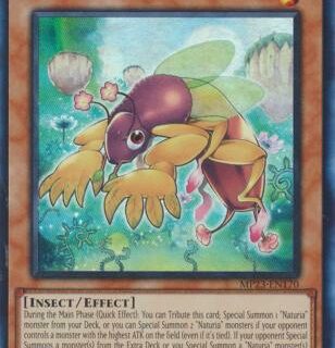 Naturia Mole Cricket - MP23-EN170 - Super Rare 1st Edition - Español