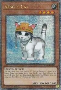 Rescue Cat - RA02-EN001 - Quarter Century Rare 1st Edition - Ingles