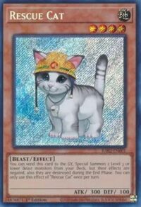 Rescue Cat - RA02-EN001 - Secret Rare 1st Edition - Ingles