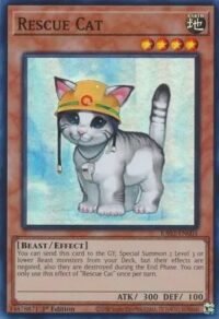 Rescue Cat - RA02-EN001 - Super Rare 1st Edition - Ingles