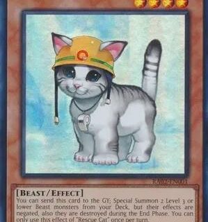 Rescue Cat - RA02-EN001 - Super Rare 1st Edition - Ingles