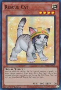 Rescue Cat (Alternate Art) - RA02-EN001 - Super Rare 1st Edition - Ingles