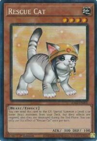 Rescue Cat (Alternate Art) - RA02-EN001 - Collector's Rare 1st Edition - Ingles