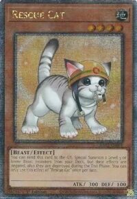 Rescue Cat (Alternate Art) - RA02-EN001 - Quarter Century Rare 1st Edition - Español