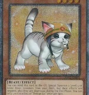 Rescue Cat (Alternate Art) - RA02-EN001 - Quarter Century Rare 1st Edition - Español