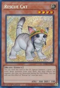 Rescue Cat (Alternate Art) - RA02-EN001 - Secret Rare 1st Edition - Ingles