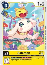 Salamon - EX6-016 C