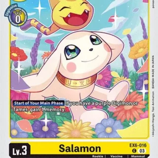 Salamon - EX6-016 C