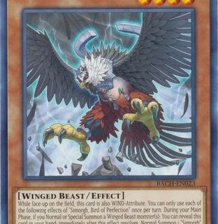 Raider's Wing - MP21-EN166 - Rare 1st Edition - Inglés