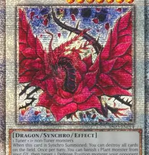 Black Rose Dragon - TN23-EN014 - Quarter Century Rare 1st Edition - Español