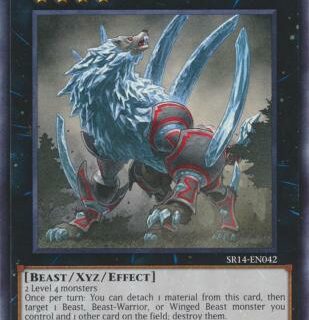 Diamond Dire Wolf - SR14-EN042 - Common 1st Edition - Inglés