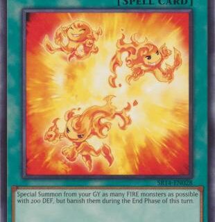 Rekindling - SR14-EN028 - Common 1st Edition - Inglés