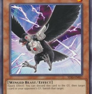 D.D. Crow - STAS-EN017 - Common - Inglés