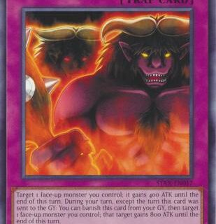 Skill Successor - STAX-EN017 - Common - Inglés