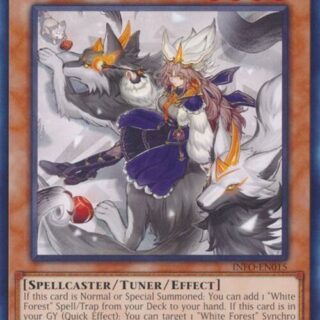 Silvy of the White Forest - INFO-EN015 - Common