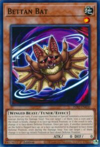 Bettan Bat - INFO-EN030 - Common