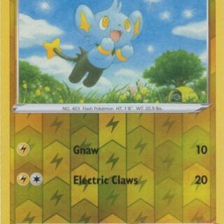 Shinx - 091/264 - Common Reverse Holo  - Inglés