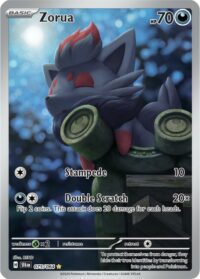 Zorua - 075/064 - Illustration Rare - Inglés