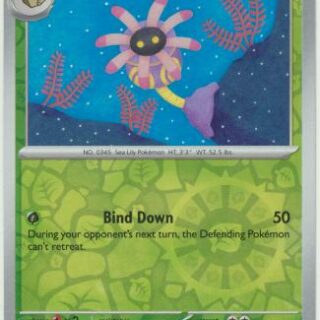 Lileep - 005/142 - Common Reverse Holo - Inglés