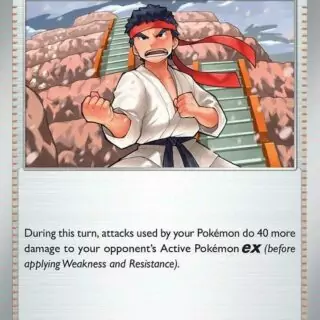 Black Belt's Training - 098/131 - Common - 098/131 - Español