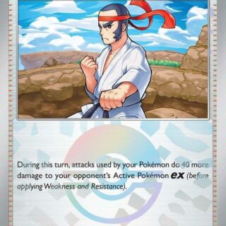 Black Belt's Training - 099/131 (Poke Ball Pattern) - Common - 099/131 - Español