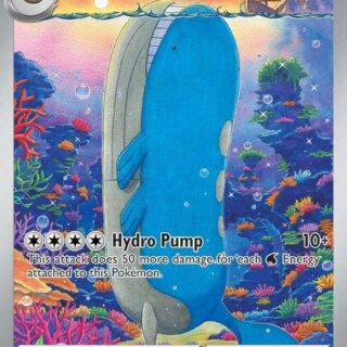 Wailord - 162/159 - Illustration Rare - Inglés