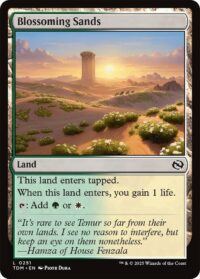 Blossoming Sands - Land - #251 - Inglés (TR)
