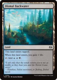 Dismal Backwater - Land - #254 - Inglés (TR)