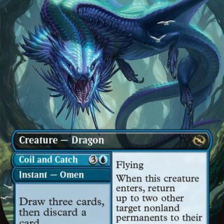 Marang River Regent (Borderless Reversible) - Rare - #378 - Inglés (TR)