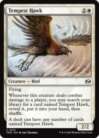 Tempest Hawk - Common - #31 - Inglés (TR)