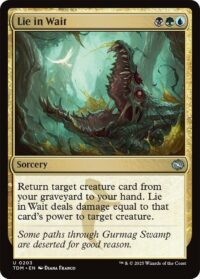 Lie in Wait - UnCommon (Foil) - #203 - Inglés (TR)