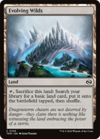 Evolving Wilds - Common (Foil) - #255 - Inglés (TR)