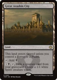 Great Arashin City - Rare - #257 - Inglés (TR)