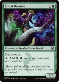 Sultai Devotee - Common - #160 - Inglés (TR)