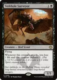 Sinkhole Surveyor - Rare - #93 - Español ( Promo Pre release )