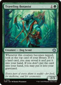 Traveling Botanist - UnCommon (Foil) - #164 - Inglés (TR)