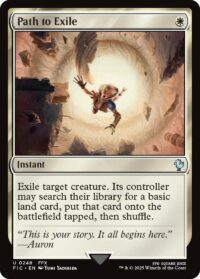 Path to Exile - UnCommon (Foil) - #248 - Inglés