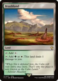 Brushland - Rare - #377 - Inglés
