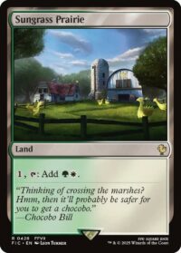 Sungrass Prairie(Foil) - Rare - #428 - Inglés