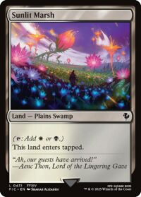 Sunlit Marsh - Land - #431 - Inglés